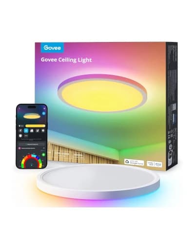 1. Govee RGBIC LED Smart Ceiling Light - Best Premium