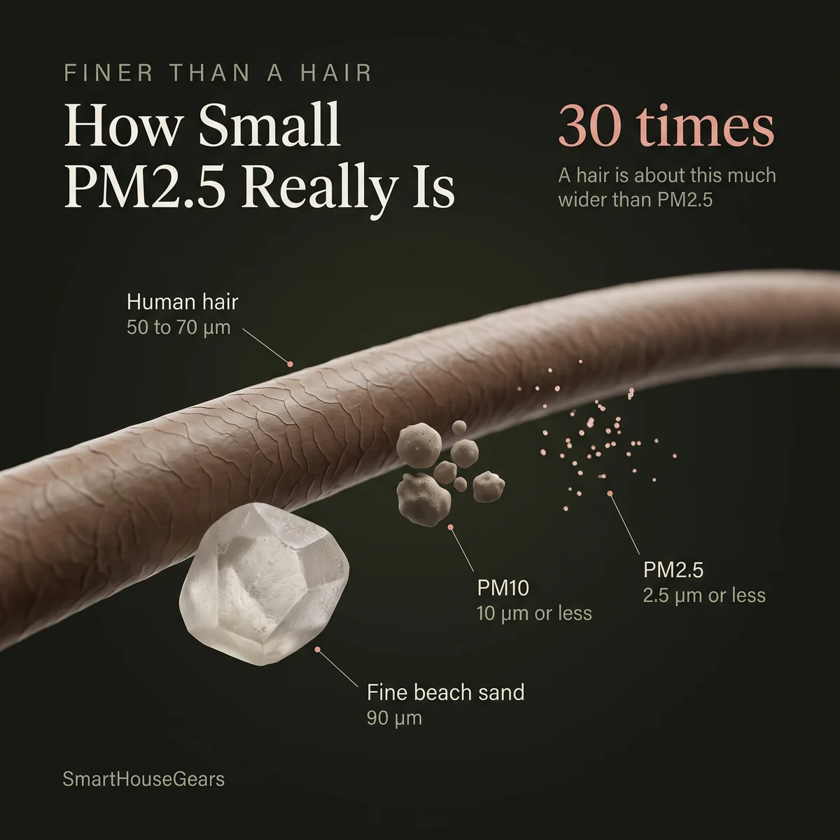 Comparison of PM2.5 and PM10 particles with a human hair and a grain of fine beach sand